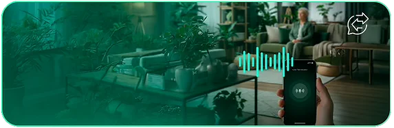 Audio bidirecional
